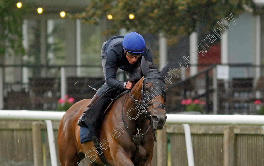 Emily-Upjohn-0009 
 EMILY UPJOHN (William Buick) in racecourse gallop 
Newmarket 1 Jul 2023 - Pic Steven Cargill / Racingfotos.com