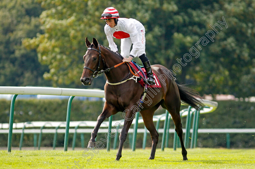 Kitai-0001 
 KITAI (Rossa Ryan)
Haydock 2 Sep 2022 - Pic Steven Cargill / Racingfotos.com