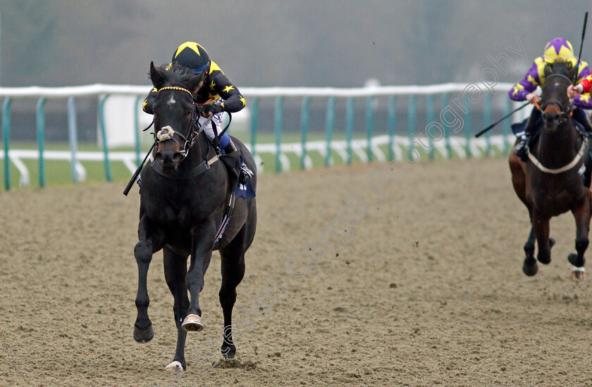 Wyvern-0007 
 WYVERN (Marco Ghiani) wins The Mansionbet Beaten By A Head Median Auction Maiden Stakes
Lingfield 25 Jan 2022 - Pic Steven Cargill / Racingfotos.com