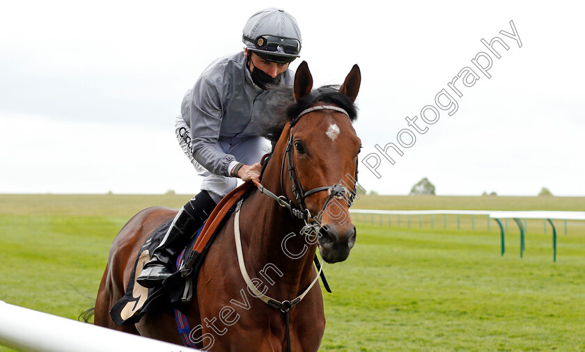 Southern-Voyage-0001 
 SOUTHERN VOYAGE (Kieran Shoemark)
Newmarket 14 May 2021 - Pic Steven Cargill / Racingfotos.com