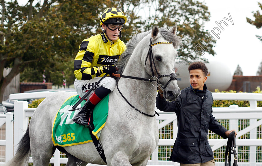 Shadow-Dance-0002 
 SHADOW DANCE (David Egan)
Newmarket 13 Oct 2023 - Pic Steven Cargill / Racingfotos.com