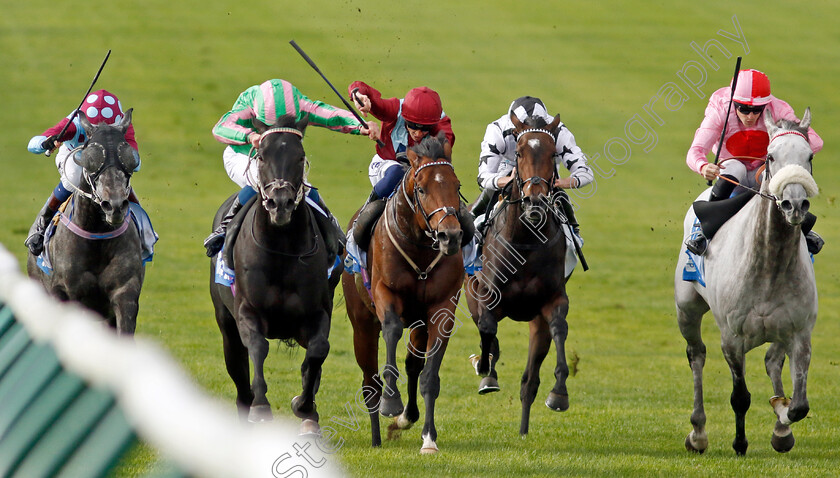 Pogo-0006 
 POGO (2nd left, William Buick) wins The Thoroughbred Industry Employee Awards Challenge Stakes
Newmarket 7 Oct 2022 - Pic Steven Cargill / Racingfotos.com