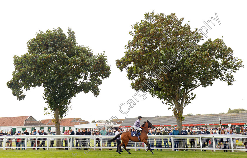 Alpine-Girl-0001 
 ALPINE GIRL (Jack Doughty)
Yarmouth 18 Sep 2024 - Pic Steven Cargill / Racingfotos.com