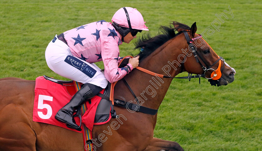 Global-Esteem-0001 
 GLOBAL ESTEEM (Becky Smith) wins The Aston Martin Amateur Jockeys Handicap
Sandown 8 Aug 2024 - Pic Steven Cargill / Racingfotos.com