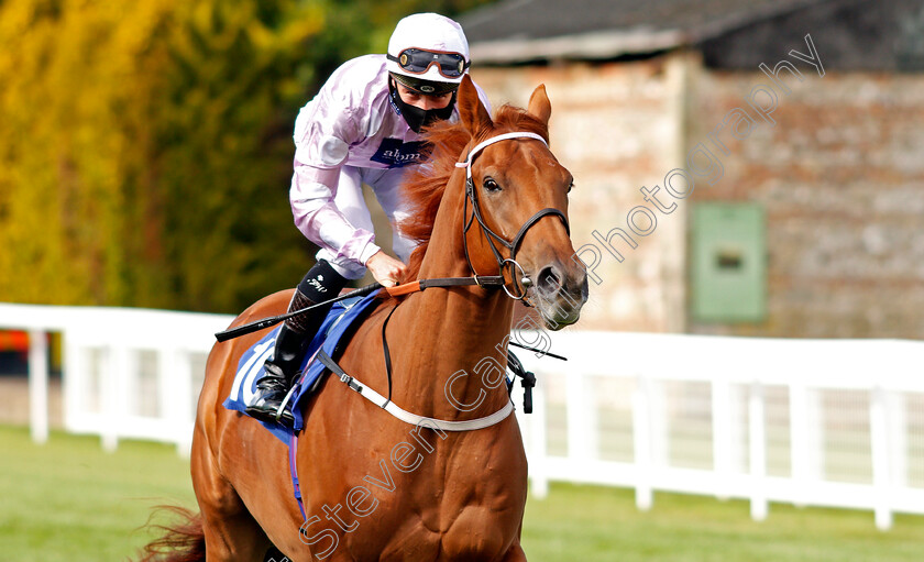 Real-Dude-0001 
 REAL DUDE (Jason Watson)
Salisbury 1 Oct 2020 - Pic Steven Cargill / Racingfotos.com