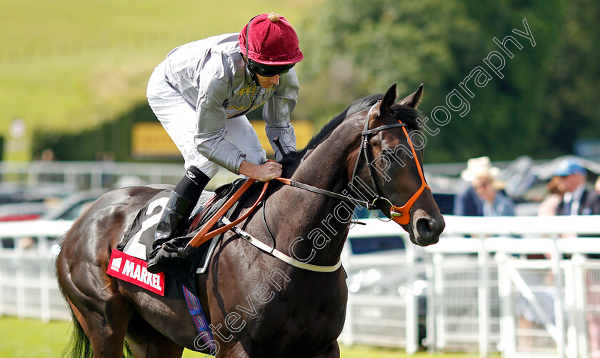 Armor-0001 
 ARMOR (Ryan Moore) winner of The Markel Molecomb Stakes
Goodwood 28 Jul 2021 - Pic Steven Cargill / Racingfotos.com