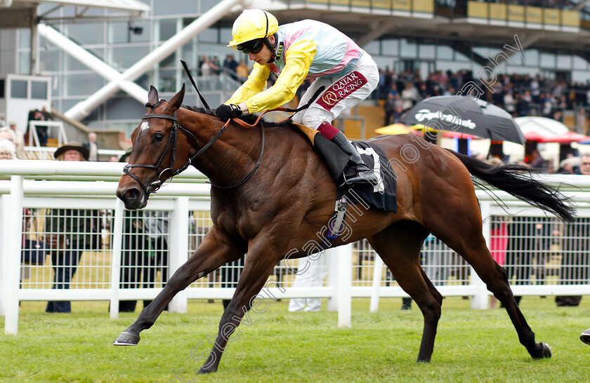 Shadn-0005 
 SHADN (Oisin Murphy) wins The Irish Thoroughbred Marketing Rose Bowl Stakes
Newbury 19 Jul 2019 - Pic Steven Cargill / Racingfotos.com