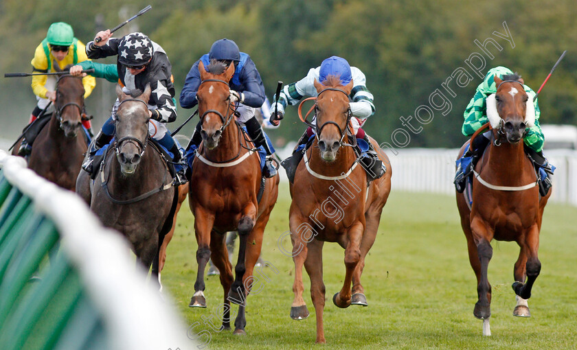 Belated-Breath-0004 
 BELATED BREATH (2nd right, Oisin Murphy) beats BETSEY TROTTER (right) LADY DANCEALOT (2nd left) and GOODNIGHT GIRL (left) in The European Bloodstock News EBF Lochsong Fillies Handicap
Salisbury 5 Sep 2019 - Pic Steven Cargill / Racingfotos.com