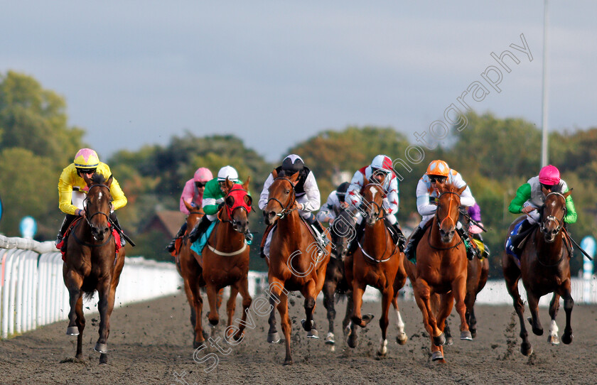 Dreamy-Rascal-0002 
 DREAMY RASCAL (left, Rossa Ryan) beats SPARKLING DIAMOND (centre) and SIR RODNEYREDBLOOD (2nd right) in The Matchbook Betting Podcast Nursery
Kempton 3 Sep 2019 - Pic Steven Cargill / Racingfotos.com