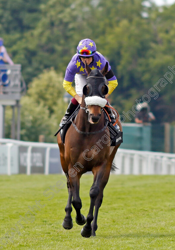 Larado-0001 
 LARADO (Cieren Fallon)
Epsom 3 Jul 2022 - Pic Steven Cargill / Racingfotos.com