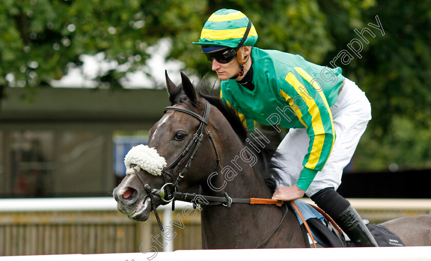 Chealamy-0001 
 CHEALAMY (Daniel Muscutt)
Newmarket 1 Jul 2023 - Pic Steven Cargill / Racingfotos.com