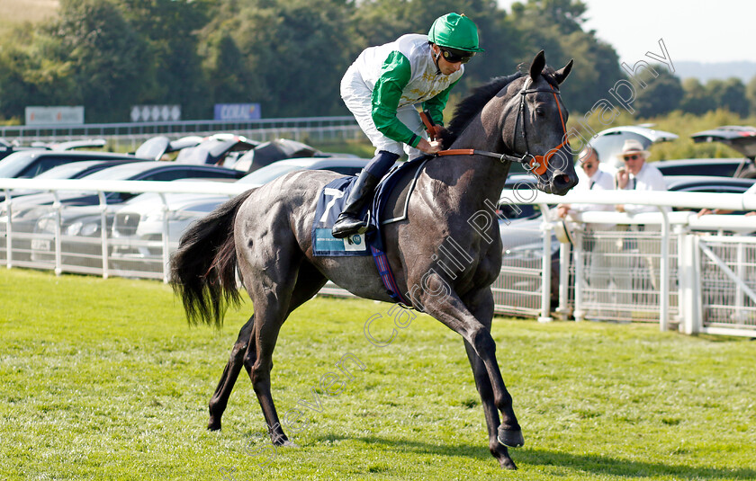 Mukaber-0001 
 MUKABER (William Buick)
Goodwood 30 Jul 2024 - Pic Steven Cargill / Racingfotos.com