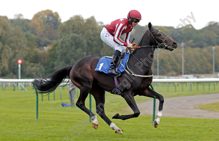 Baghdad-0001 
 BAGHDAD (P J Mcdonald) Nottingham 18 Oct 2017 - Pic Steven Cargill / Racingfotos.com