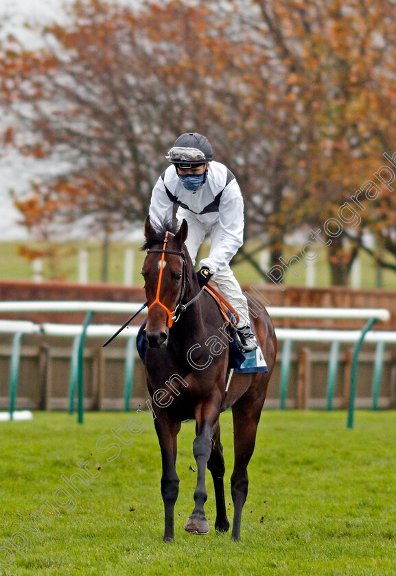 Bellazada-0001 
 BELLAZADA (David Egan)
Newmarket 31 Oct 2020 - Pic Steven Cargill / Racingfotos.com