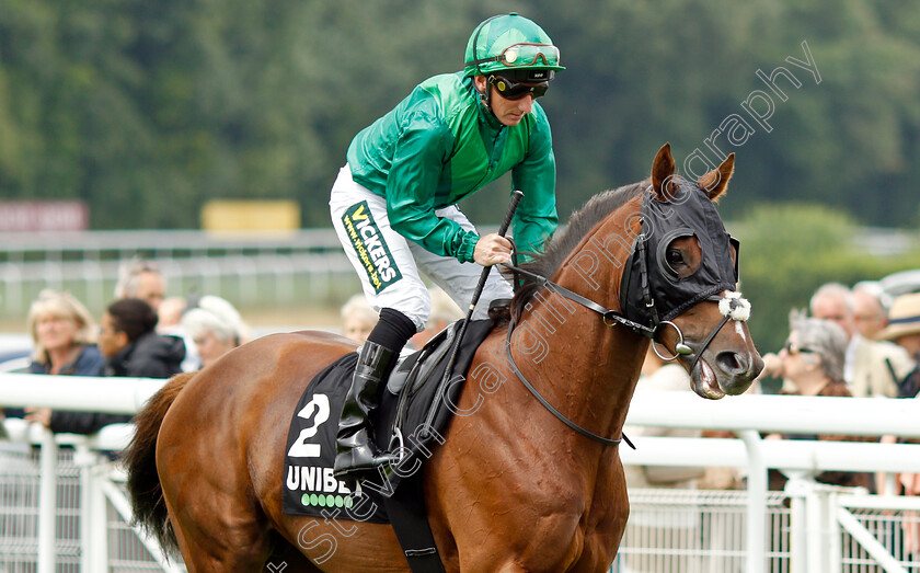 Majestic-Dawn-0001 
 MAJESTIC DAWN (Paul Hanagan)
Goodwood 27 Jul 2021 - Pic Steven Cargill / Racingfotos.com