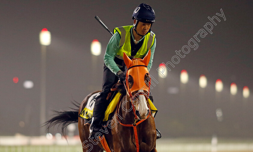 Namur-0001 
 NAMUR training for The Dubai Turf
Meydan Dubai 26 Mar 2024 - Pic Steven Cargill / Racingfotos.com