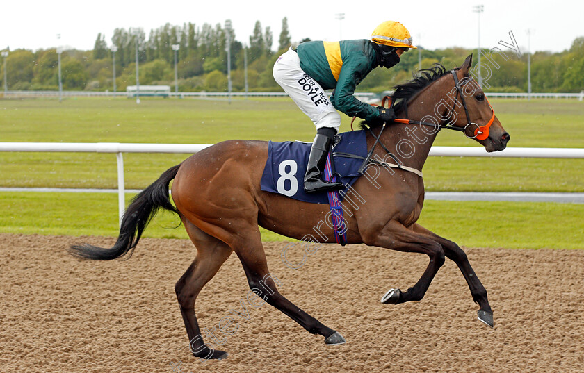 River-Pride-0001 
 RIVER PRIDE (Sean Levey)
Wolverhampton 24 May 2021 - Pic Steven Cargill / Racingfotos.com