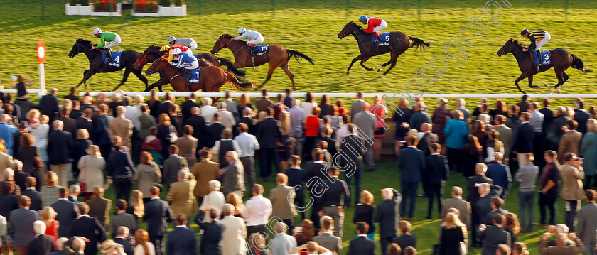 Eartha-Kitt-0003 
 EARTHA KITT (Richard Kingscote) wins The Darley EBF Stallions Boadicea Stakes Newmarket 14 Oct 2017 - Pic Steven Cargill / Racingfotos.com