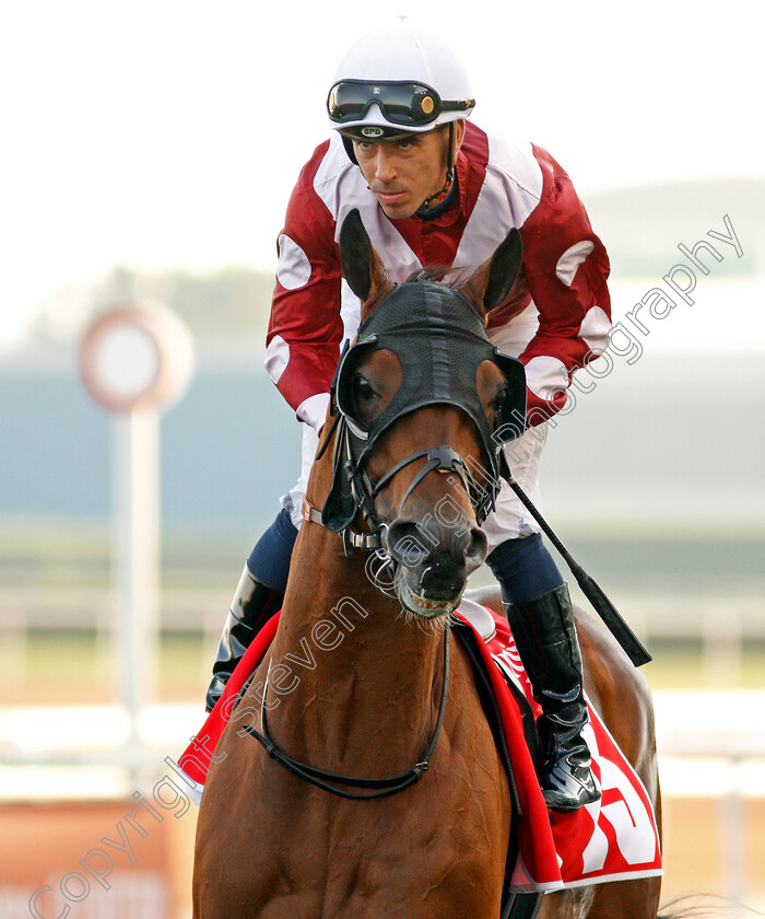 Wasim-0001 
 WASIM (Fabrice Veron)
Meydan 7 Mar 2020 - Pic Steven Cargill / Racingfotos.com