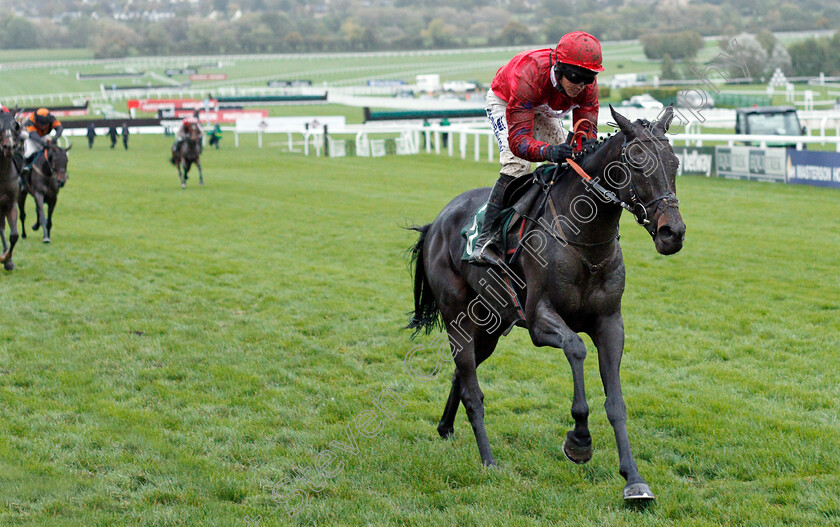 Benny s-Bridge-0004 
 BENNY'S BRIDGE (Connor Brace) wins The Matchbook Betting Exchange Podcast Conditional Jockeys Handicap Hurdle
Cheltenham 25 Oct 2019 - Pic Steven Cargill / Racingfotos.com