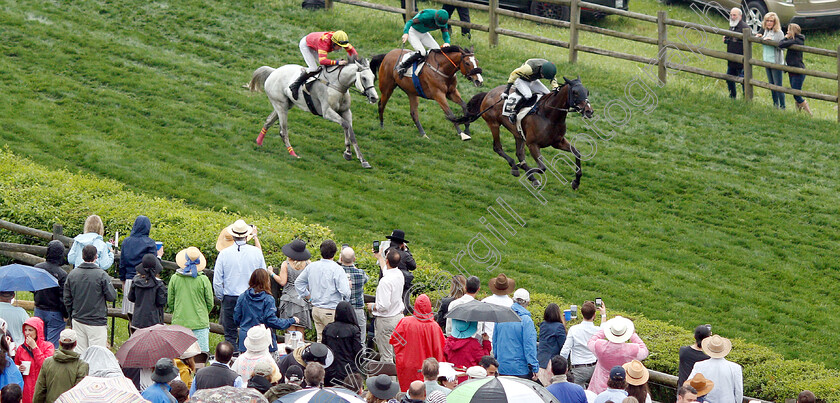 Wigwam-Baby-0005 
 WIGWAM BABY (Aaron Sinnott) beats DOWN ROYAL (grey) in The Margaret Currey Henley Filly & Mare Hurdle
Percy Warner Park, Nashville Tennessee USA, 11 May 2019 - Pic Steven Cargill / Racingfotos.com