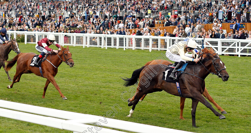 Shambolic-0004 
 SHAMBOLIC (Robert Havlin) wins The Royal Foresters British EBF Fillies Novice Stakes
Ascot 8 Sep 2018 - Pic Steven Cargill / Racingfotos.com