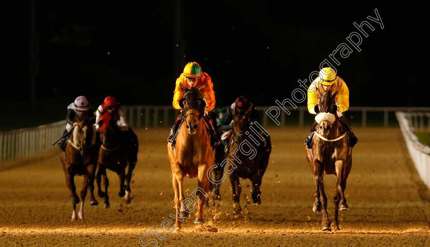 Secratario-0005 
 SECRATARIO (centre, Shane Kelly) beats LET'S BE HAPPY (right) in The Hellermanntyton Protection Claiming Stakes
Wolverhampton 5 Sep 2018 - Pic Steven Cargill / Racingfotos.com