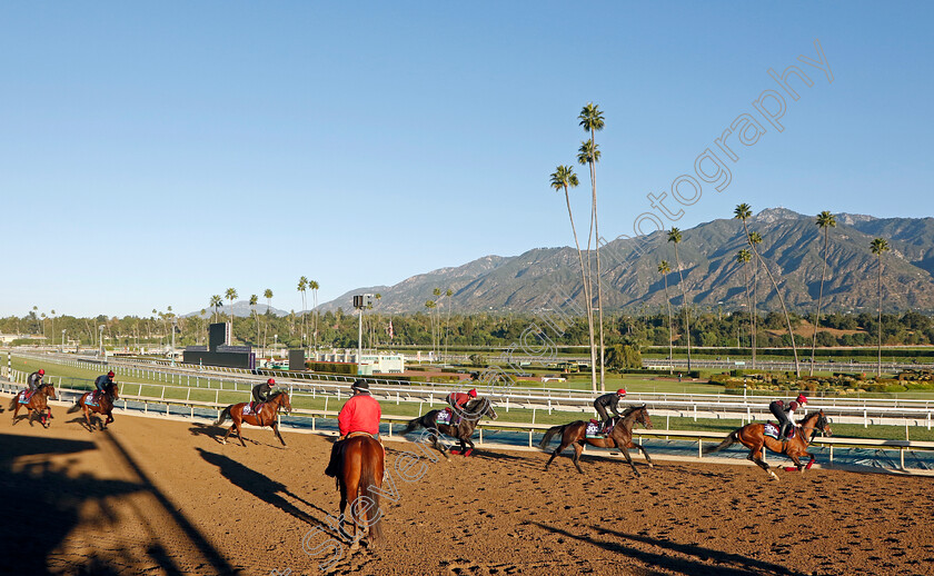 Broome,-Bolshoi-Ballet-and-Auguste-Rodin-0001 
 BROOME leads BOLSHOI BALLET and AUGUSTE RODIN training for the Breeders' Cup 
Santa Anita 2 Nov 2023 - Pic Steven Cargill / Racingfotos.com