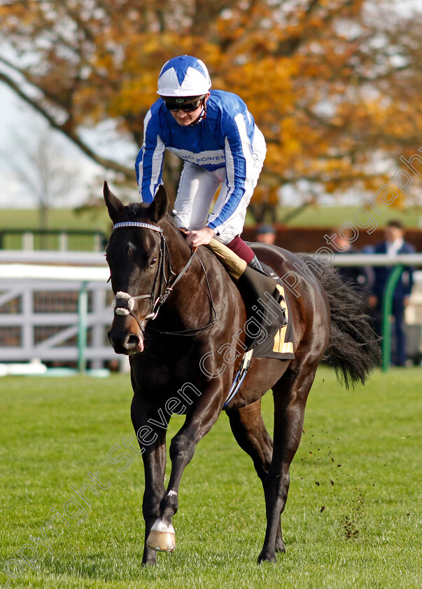 Sky-Fox-0001 
 SKY FOX (Rob Hornby)
Newmarket 28 Oct 2022 - Pic Steven Cargill / Racingfotos.com