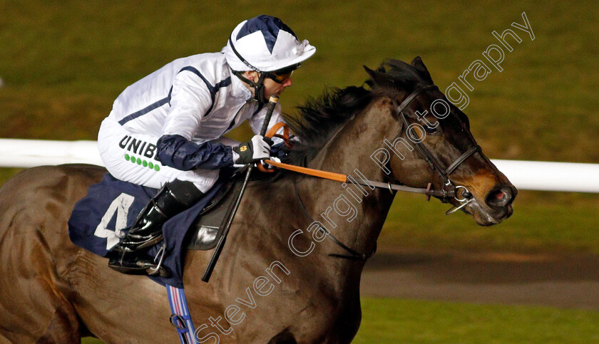 Repertoire-0004 
 REPERTOIRE (Jamie Spencer) wins The Bombardier Novice Stakes
Wolverhampton 1 Feb 2021 - Pic Steven Cargill / Racingfotos.com