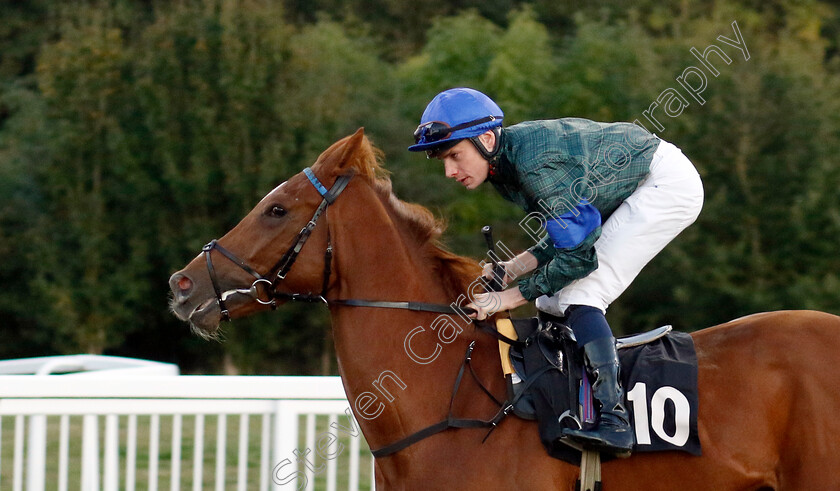 Angel-Mac-0001 
 ANGEL MAC (Callum Shepherd)
Chelmsford 3 Oct 2024 - Pic Steven Cargill / Racingfotos.com