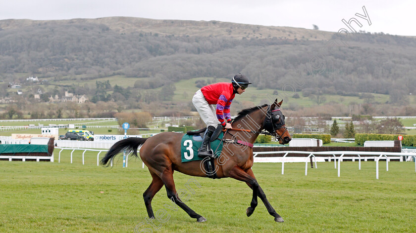 Chequered-View-0001 
 CHEQUERED VIEW (Gavin Sheehan)
Cheltenham 13 Dec 2019 - Pic Steven Cargill / Racingfotos.com