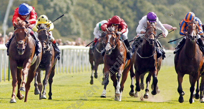 Threat-0003 
 THREAT (left, Oisin Murphy) wins The Al Basti Equiworld Dubai Gimcrack Stakes 
York 23 Aug 2019 - Pic Steven Cargill / Racingfotos.com