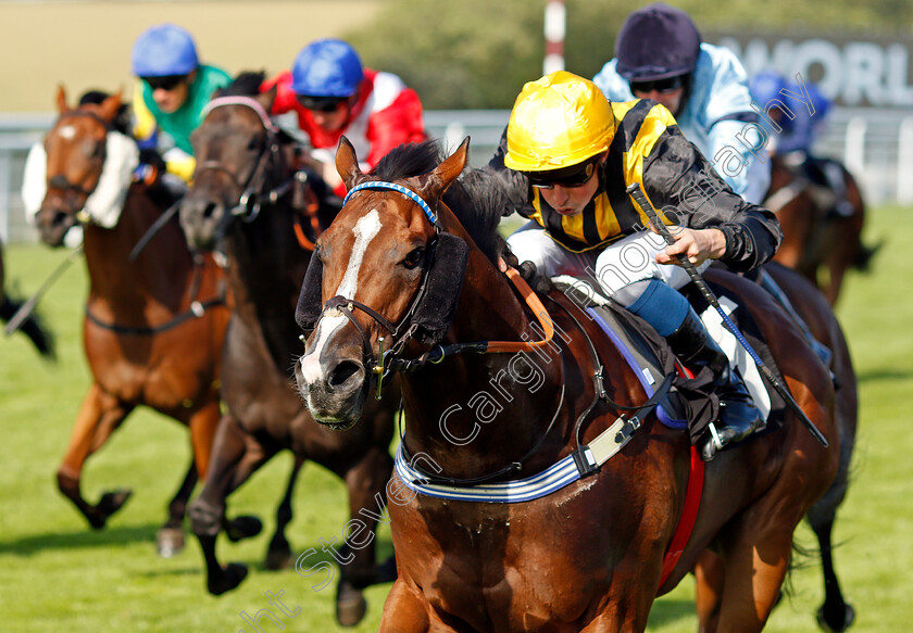 Whenthedealinsdone-0004 
 WHENTHEDEALINSDONE (William Buick) wins The World Pool Handicap
Goodwood 29 Jul 2021 - Pic Steven Cargill / Racingfotos.com