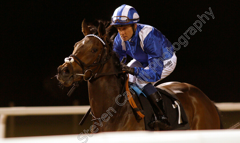 Raheeb-0001 
 RAHEEB (Jim Crowley) winner of The totepool Cashback Club At totesport.com Fillies Novice Stakes
Chelmsford 29 Nov 2018 - Pic Steven Cargill / Racingfotos.com