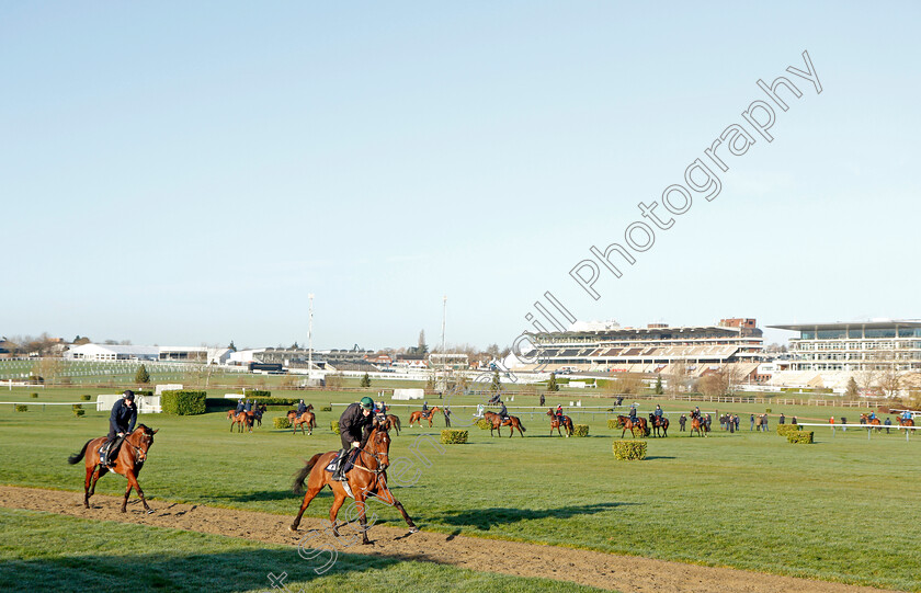 Cheltenham-0001 
 Gordon Elliott's string at exercise on the eve of the Cheltenham Festival
Cheltenham 14 Mar 2022 - Pic Steven Cargill / Racingfotos.com