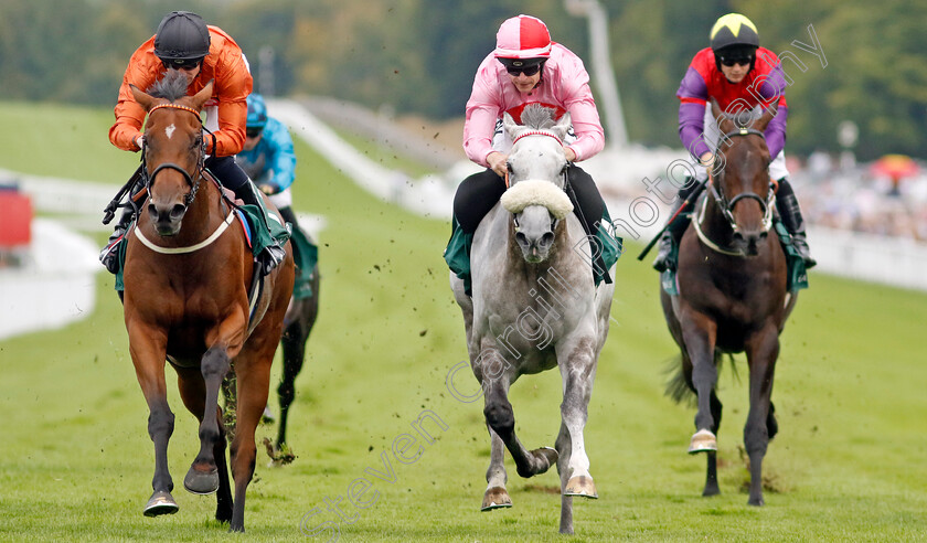 Double-Or-Bubble-0002 
 DOUBLE OR BUBBLE (left, Jack Mitchell) beats MISTY GREY (centre) in The Weatherbys Stallion Book Supreme Stakes
Goodwood 28 Aug 2022 - Pic Steven Cargill / Racingfotos.com