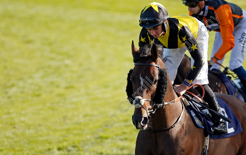 Blue-De-Vega-0002 
 BLUE DE VEGA (Rossa Ryan)
Yarmouth 18 Sep 2019 - Pic Steven Cargill / Racingfotos.com