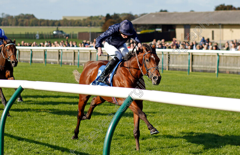 City-Of-Troy-0007 
 CITY OF TROY (Ryan Moore) wins The Dewhurst Stakes
Newmarket 14 Oct 2023 - Pic Steven Cargill / Racingfotos.com