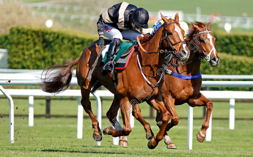 Winter-Lion-0004 
 WINTER LION (left, Paddy Brennan) beats TANARPINO (right) in The Nicholson Holman Handicap Chase Cheltenham 18 Apr 2018 - Pic Steven Cargill / Racingfotos.com