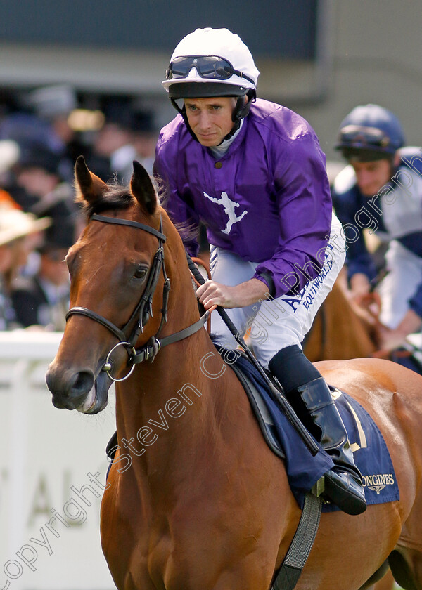 One-More-Olly 
 ONE MORE OLLY (Ryan Moore)
Royal Ascot 15 Jun 2022 - Pic Steven Cargill / Racingfotos.com