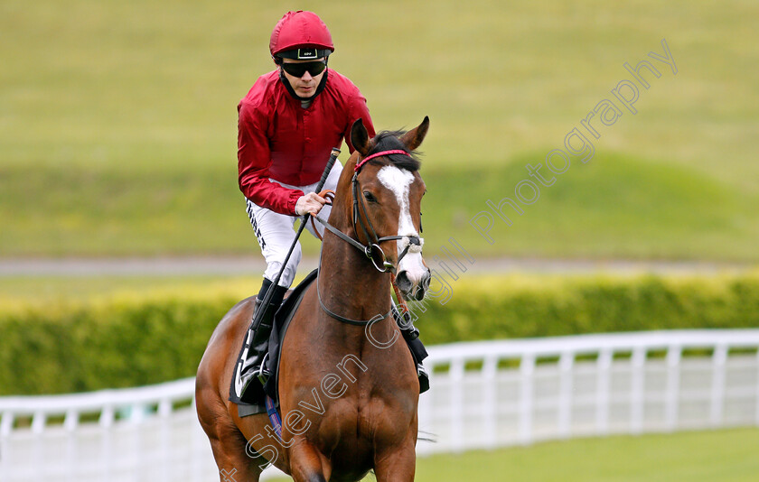 Golden-War-0002 
 GOLDEN WAR (Jamie Spencer)
Goodwood 21 May 2021 - Pic Steven Cargill / Racingfotos.com