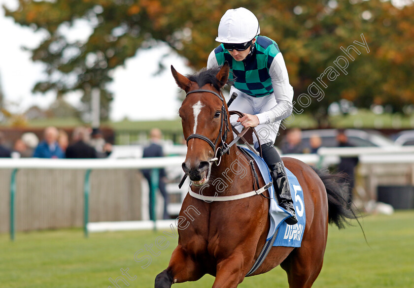 Midnight-Mile-0008 
 MIDNIGHT MILE (Oisin Orr) winner of The Godolphin Lifetime Care Oh So Sharp Stakes
Newmarket 7 Oct 2022 - Pic Steven Cargill / Racingfotos.com