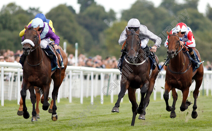 Commanding-Officer-0002 
 COMMANDING OFFICER (centre, Daniel Tudhope) beats INDOMITABLE (left) in The British Stallion Studs EBF Convivial Maiden Stakes
York 24 Aug 2018 - Pic Steven Cargill / Racingfotos.com