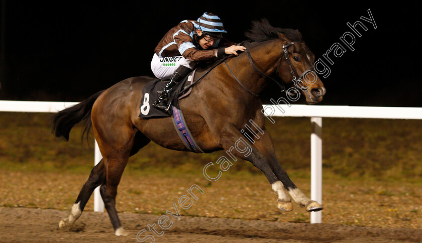 Que-Quieres-0005 
 QUE QUIERES (Luke Morris) wins The Havens Hospice Handicap
Chelmsford 28 Nov 2019 - Pic Steven Cargill / Racingfotos.com