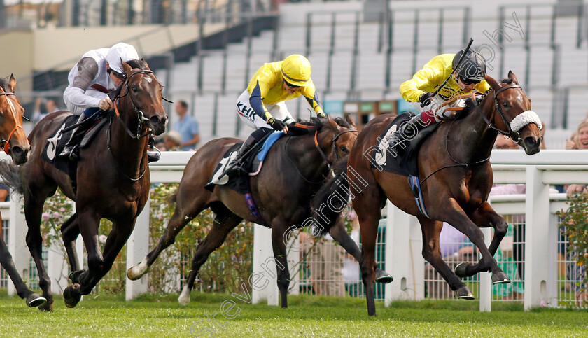 Miss-Information-0005 
 MISS INFORMATION (Oisin Murphy) wins The Events At Ascot Christmas Parties British EBF Restricted Novice Stakes
Ascot 8 Sep 2023 - Pic Steven Cargill / Racingfotos.com