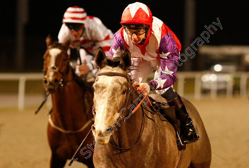 Harbour-Vision-0005 
 HARBOUR VISION (Paddy Mathers) wins The Double Delight Hat-Trick Heaven At totesport.com Handicap
Chelmsford 20 Feb 2019 - Pic Steven Cargill / Racingfotos.com