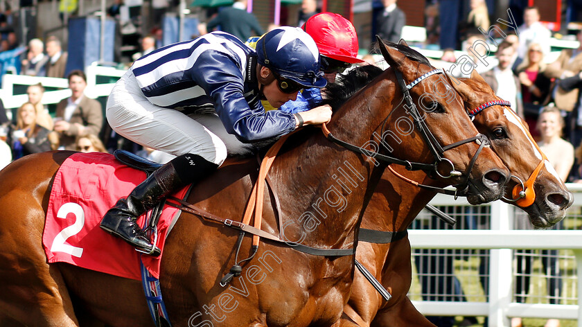 Ragnar-0006 
 RAGNAR (Jason Watson) wins The Beck Celebrating 25 Years Of Excellence Handicap
Sandown 14 Jun 2019 - Pic Steven Cargill / Racingfotos.com