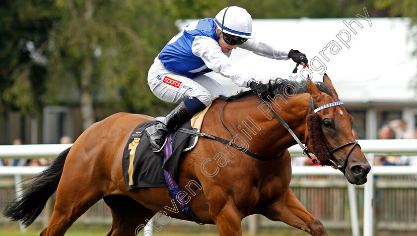 Anythingtoday-0003 
 ANYTHINGTODAY (Hollie Doyle) wins The Bob And Liz 40th Wedding Anniversary Handicap
Newmarket 31 Jul 2021 - Pic Steven Cargill / Racingfotos.com