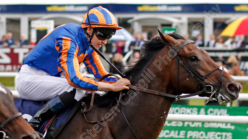 Seahenge-0005 
 SEAHENGE (Donnacha O'Brien) wins The Howcroft Industrial Supplies Champagne Stakes Doncaster 16 Sep 2017 - Pic Steven Cargill / Racingfotos.com